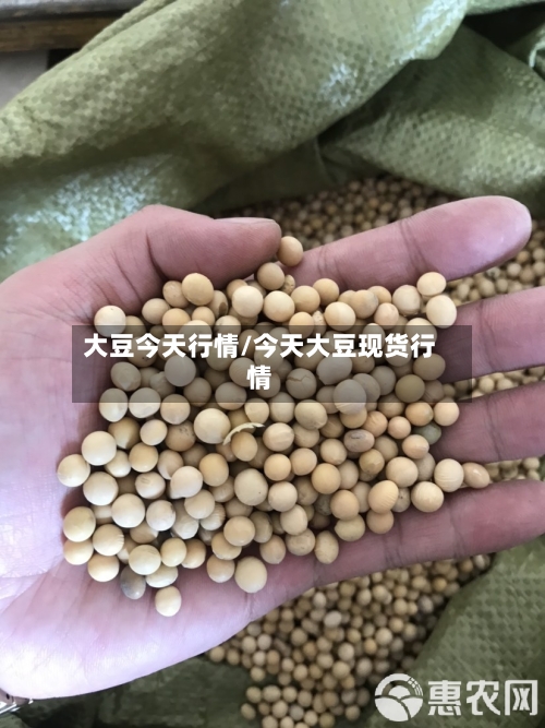 大豆今天行情/今天大豆现货行情-第2张图片