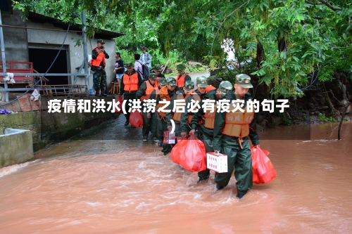 疫情和洪水(洪涝之后必有疫灾的句子)