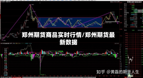 郑州期货商品实时行情/郑州期货最新数据