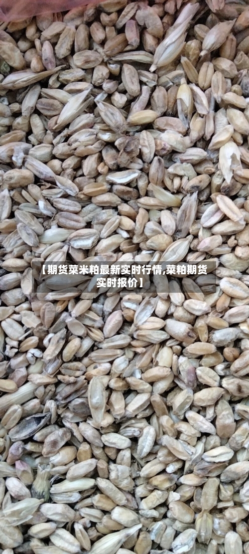 【期货菜米粕最新实时行情,菜粕期货实时报价】