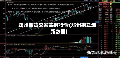 郑州期货交易实时行情(郑州期货最新数据)-第3张图片
