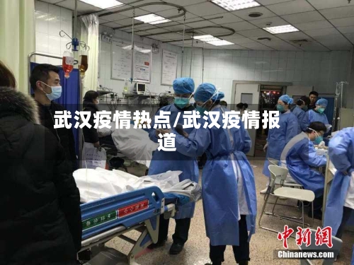 武汉疫情热点/武汉疫情报道-第2张图片
