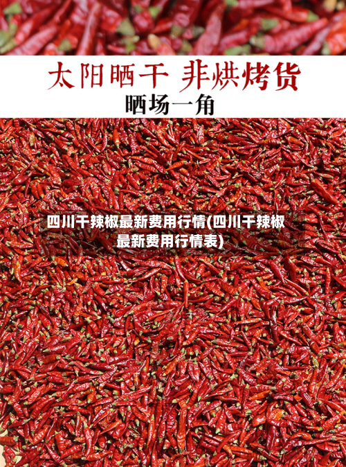 四川干辣椒最新费用行情(四川干辣椒最新费用行情表)-第2张图片