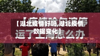 【湖北疫情好吗,湖北疫情数据变化】-第3张图片