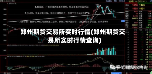 郑州期货交易所实时行情(郑州期货交易所实时行情查询)-第2张图片