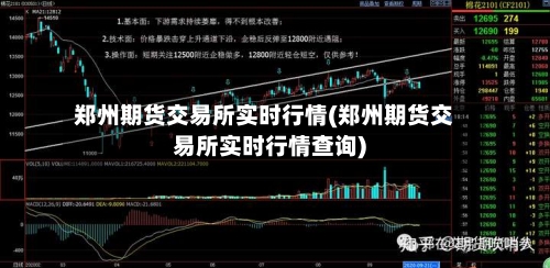 郑州期货交易所实时行情(郑州期货交易所实时行情查询)