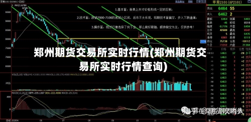 郑州期货交易所实时行情(郑州期货交易所实时行情查询)-第3张图片
