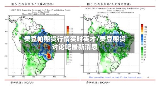 美豆帕期货行情实时英才/美豆期货讨论吧最新消息