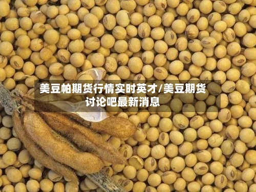 美豆帕期货行情实时英才/美豆期货讨论吧最新消息-第3张图片