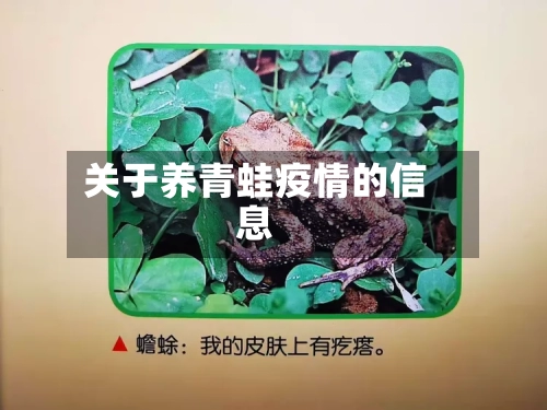 关于养青蛙疫情的信息