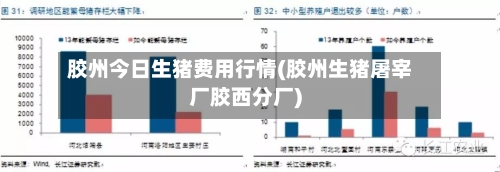胶州今日生猪费用行情(胶州生猪屠宰厂胶西分厂)