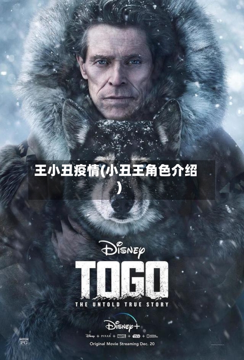 王小丑疫情(小丑王角色介绍)-第2张图片