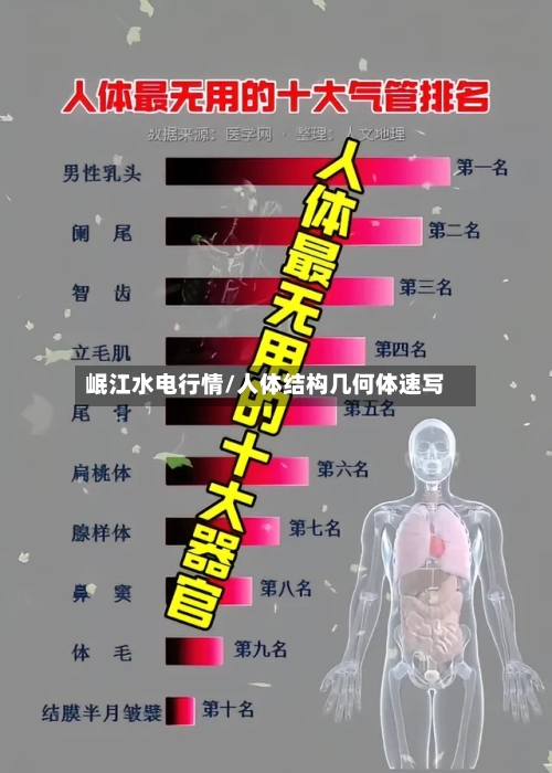 岷江水电行情/人体结构几何体速写-第2张图片