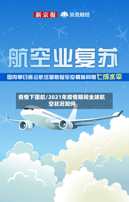 疫情下国航/2021年疫情期间全球航空状况如何-第2张图片