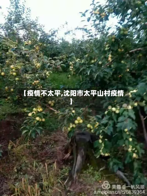 【疫情不太平,沈阳市太平山村疫情】