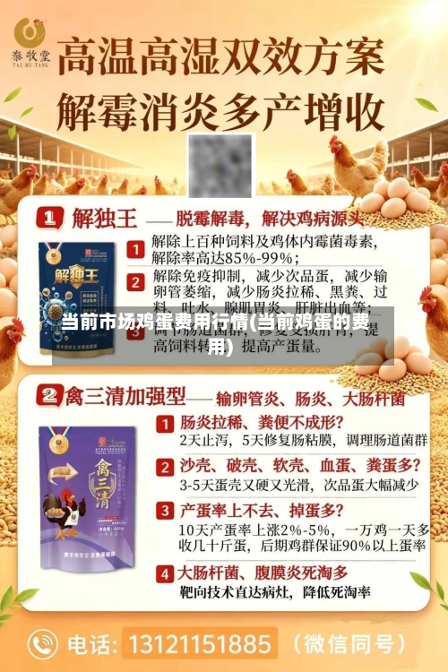 当前市场鸡蛋费用行情(当前鸡蛋的费用)-第2张图片