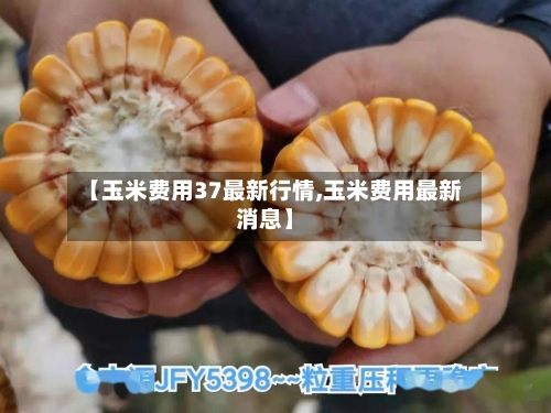 【玉米费用37最新行情,玉米费用最新消息】-第2张图片