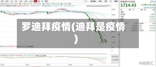 罗迪拜疫情(迪拜是疫情)