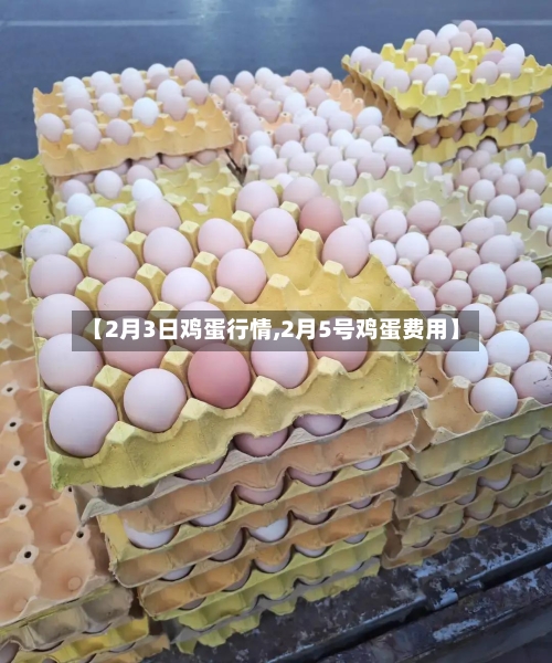 【2月3日鸡蛋行情,2月5号鸡蛋费用】-第3张图片