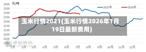 玉米行情2021(玉米行情2026年1月19日最新费用)-第2张图片