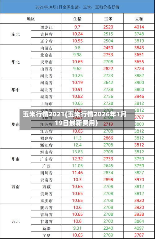 玉米行情2021(玉米行情2026年1月19日最新费用)