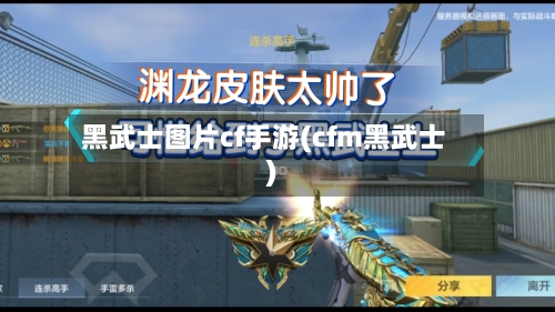 黑武士图片cf手游(cfm黑武士)-第3张图片