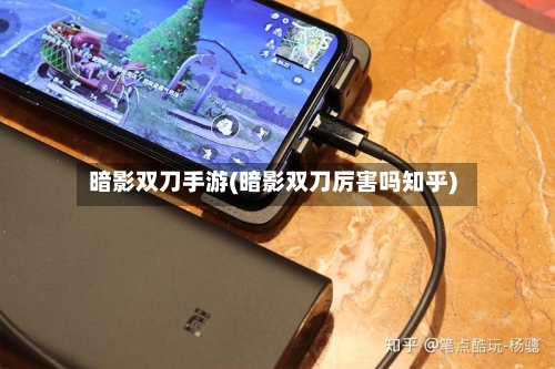 暗影双刀手游(暗影双刀厉害吗知乎)