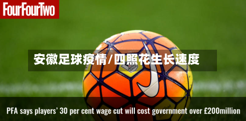 安徽足球疫情/四照花生长速度-第3张图片