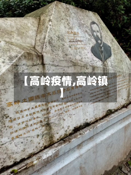 【高岭疫情,高岭镇】