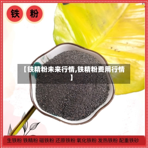 【铁精粉未来行情,铁精粉费用行情】-第2张图片