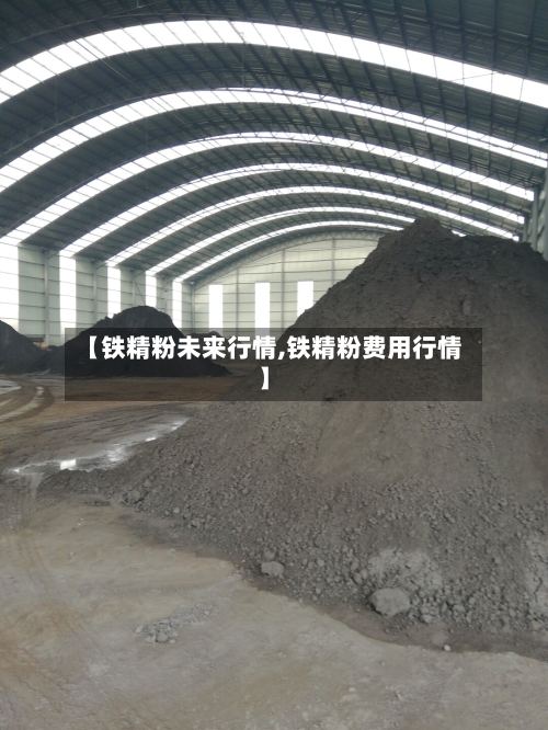 【铁精粉未来行情,铁精粉费用行情】-第3张图片