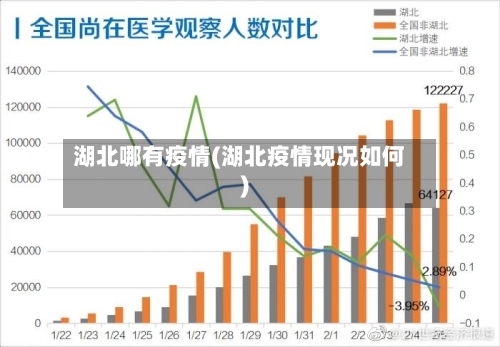湖北哪有疫情(湖北疫情现况如何)-第2张图片