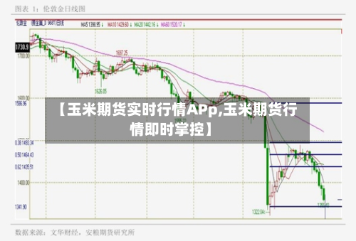 【玉米期货实时行情APp,玉米期货行情即时掌控】-第2张图片