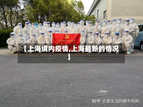 【上海境内疫情,上海最新的情况】