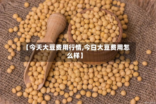 【今天大豆费用行情,今日大豆费用怎么样】-第3张图片