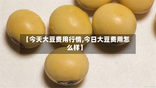 【今天大豆费用行情,今日大豆费用怎么样】