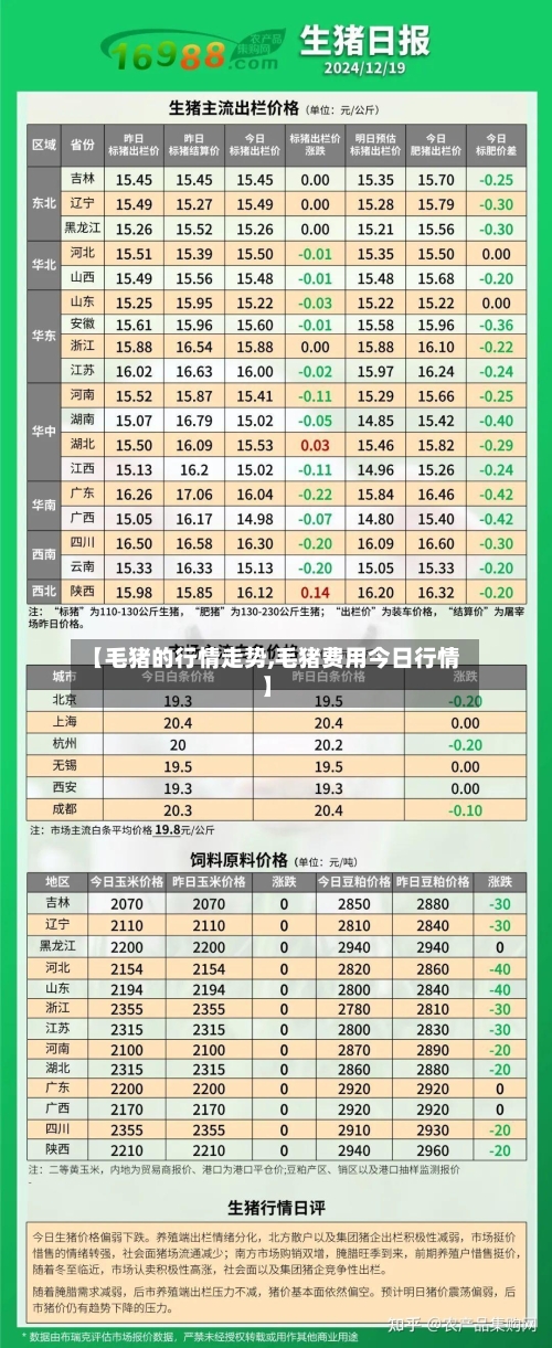 【毛猪的行情走势,毛猪费用今日行情】