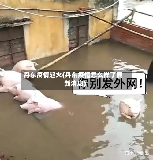 丹东疫情起火(丹东疫情怎么样了最新消息)-第3张图片