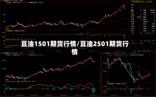 豆油1501期货行情/豆油2501期货行情-第2张图片