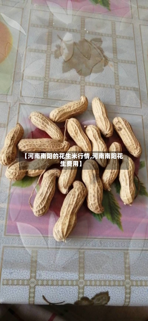 【河南南阳的花生米行情,河南南阳花生费用】