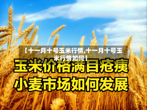 【十一月十号玉米行情,十一月十号玉米行情如何】