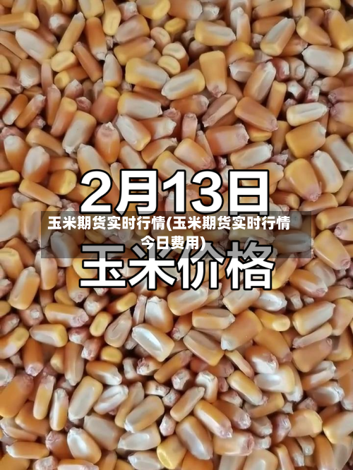 玉米期货实时行情(玉米期货实时行情今日费用)