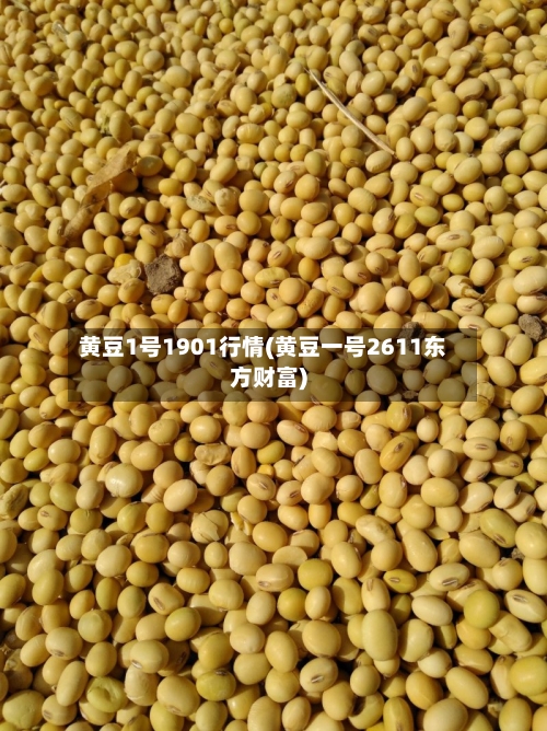 黄豆1号1901行情(黄豆一号2611东方财富)-第2张图片