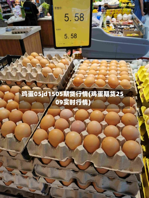 鸡蛋05jd1505期货行情(鸡蛋期货2509实时行情)-第3张图片