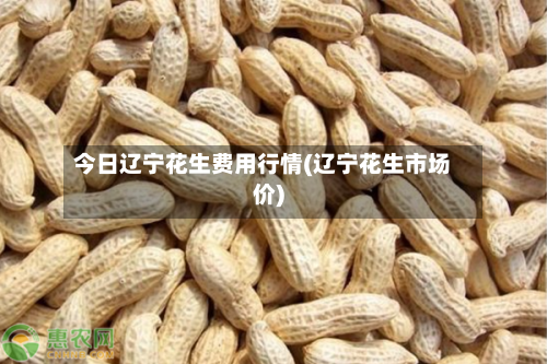 今日辽宁花生费用行情(辽宁花生市场价)-第2张图片