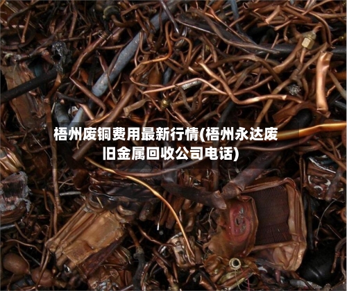 梧州废铜费用最新行情(梧州永达废旧金属回收公司电话)-第2张图片