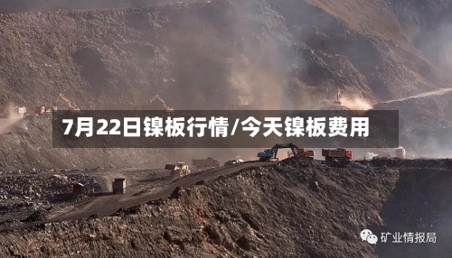 7月22日镍板行情/今天镍板费用-第2张图片