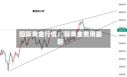 园际黄金行情/囯际黄金费用最新