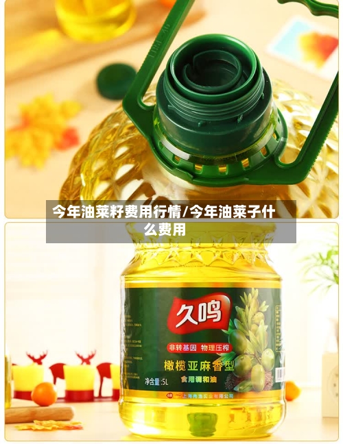 今年油莱籽费用行情/今年油莱子什么费用