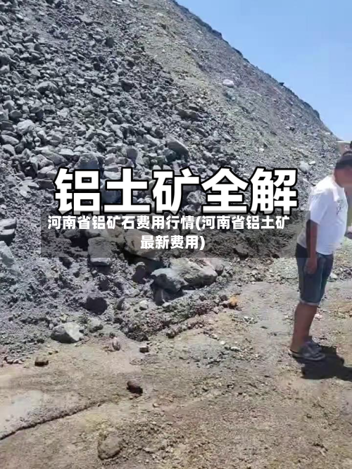 河南省铝矿石费用行情(河南省铝土矿最新费用)-第3张图片